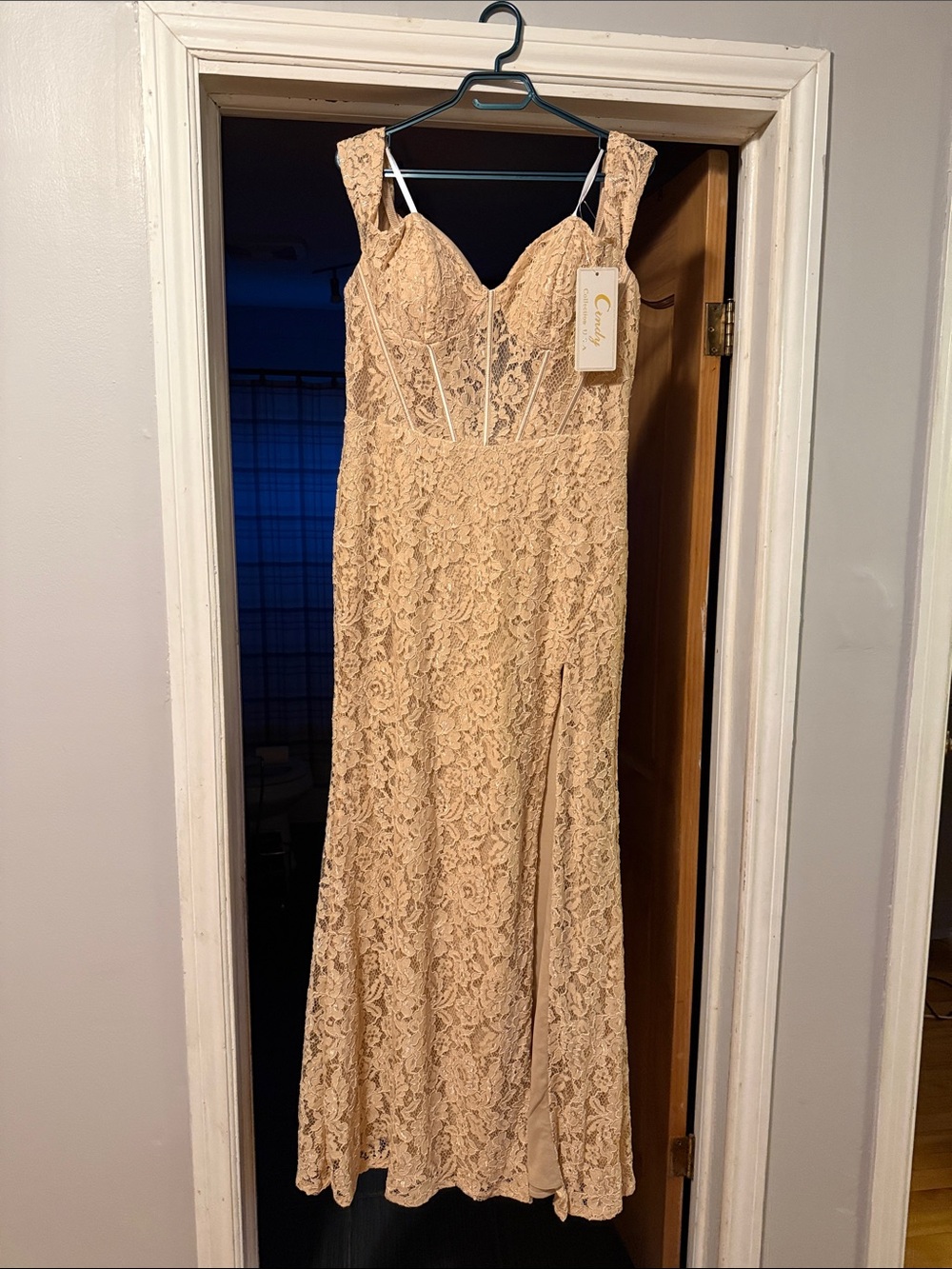 Cindy Champagne Lace Gown with Corset Bodice